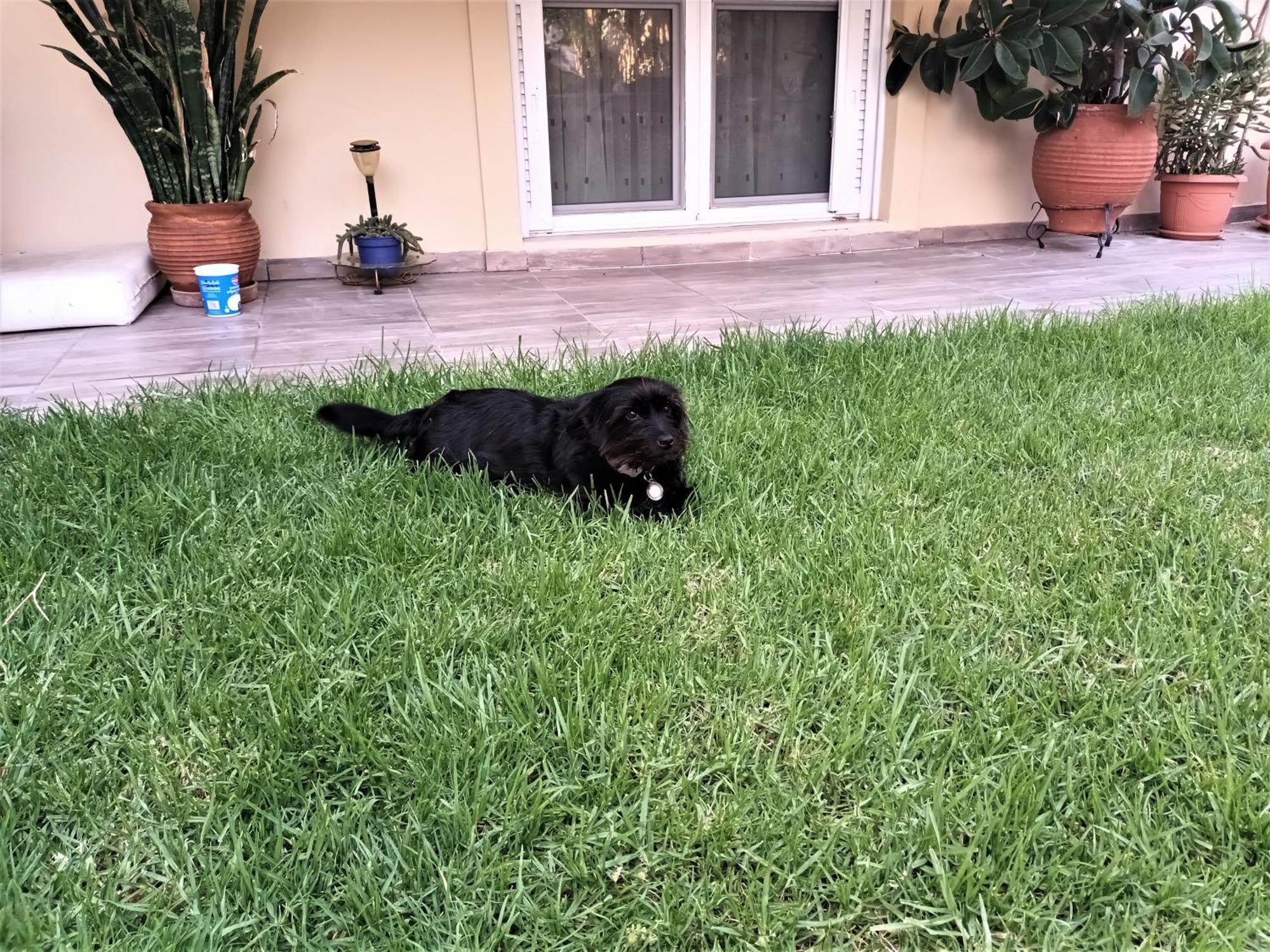 Family Yard House Kos Διαμέρισμα Εξωτερικό φωτογραφία